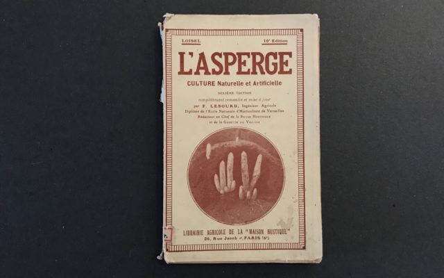 L’asperge - F. Lesourd