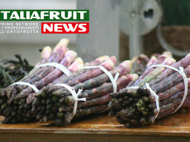 Fantin asparagi italiaforuit news